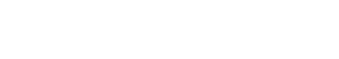 Den Norske Kirke